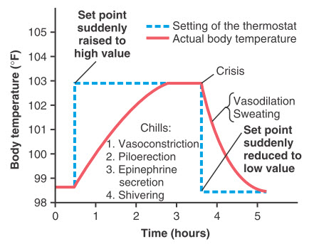 Ảnh hưởng của việc thay đổi điểm đặt của bộ điều khiển nhiệt độ