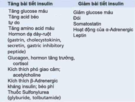 Các yếu tố và điều kiện làm tăng hoặc giảm bài tiết insulin