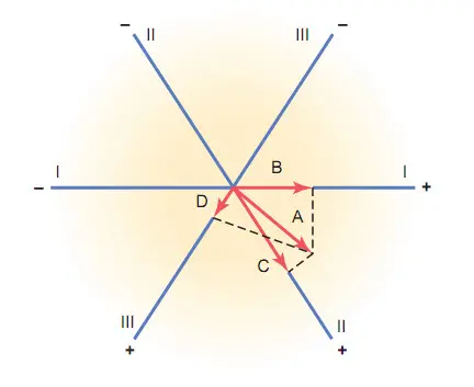 Xác định vector hình chiếu