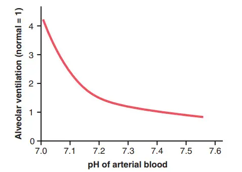 Ảnh hưởng của pH máu đến tốc độ thông khí phế nang