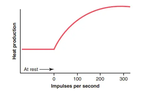 Sản xuất nhiệt trong một sợi thần kinh khi nghỉ ngơi và với tốc độ tăng dần của kích thích