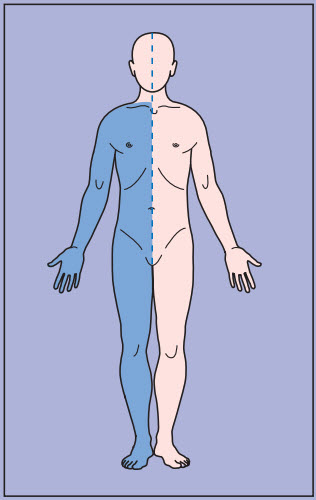 Cơ chế gây yếu cơ dựa trên các kiểu dấu hiệu lâm sàng tay và chân