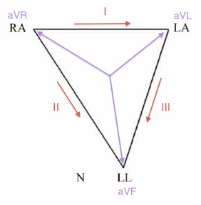 Tam giác Einthoven