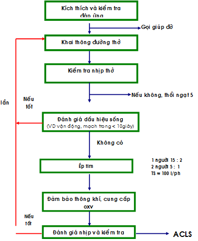 Phác đồ hồi sức tuần hoàn hô hấp ngừng tuần hoàn - Biểu đồ hỗ trợ chức năng sống cơ bản