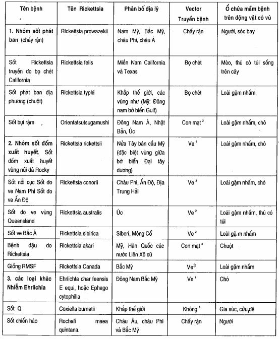 Bệnh do Rickettsia