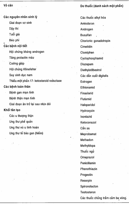 Các nguyên nhân gây vú to ở nam giới