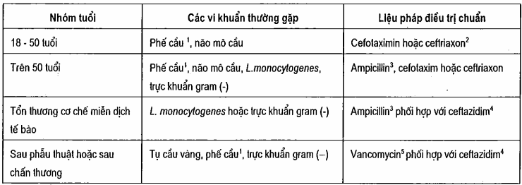 Điều trị kháng sinh ban đầu cho những trường hợp viêm màng não mủ chưa rõ căn nguyên