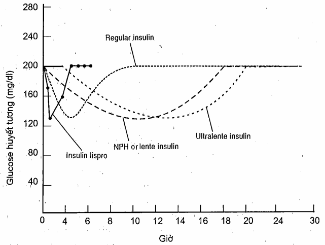 Phạm vi và thời gian tác dụng của nhiều loại insulin