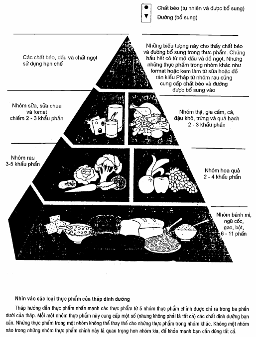 Tháp hướng dẫn thực phẩm. Hướng dẫn để lựa chọn thức ăn hàng ngày