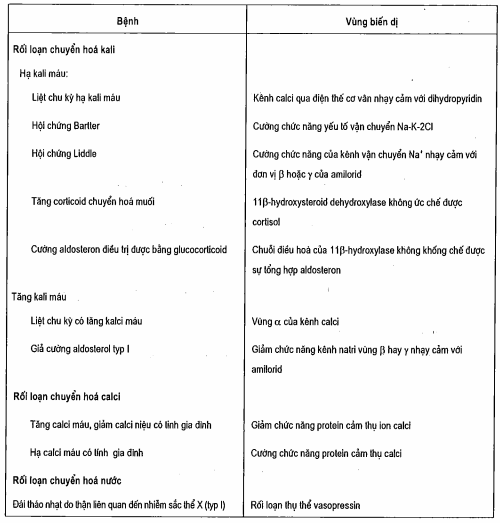 Các bệnh di truyền có rối loạn chuyển hóa điện giải