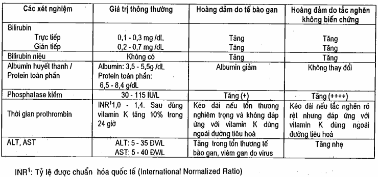 Các xét nghiệm chức năng gan: giá trị bình thường và những thay đổi trong hai loại hoàng đảm