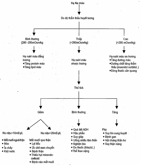 Đánh giá hạ natri máu qua độ thẩm thấu máu