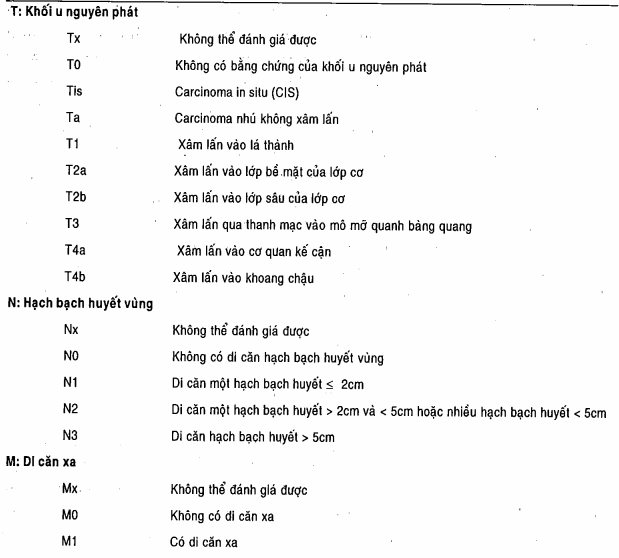 Hệ thống phân giai đoạn TNM cho ung thư bàng quang