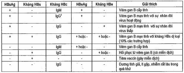 Mẫu huyết thanh thường gặp trong nhiễm virus viêm gan B