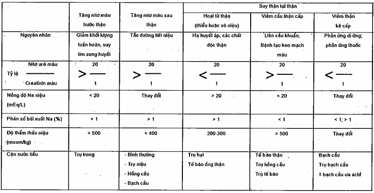 Phân loại và chẩn đoán phân biệt suy thận