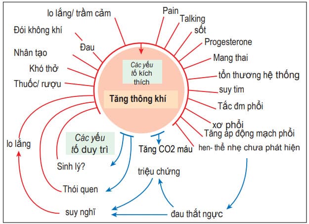 Các yếu tố làm tăng thông khí