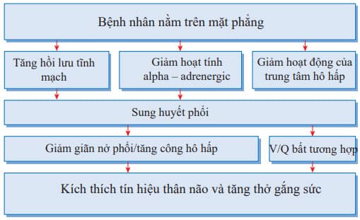 Cơ chế của khó thở kịch phát về đêm