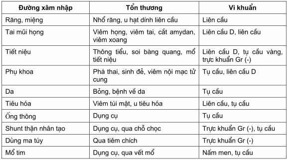 Đường xâm nhập và loại vi khuẩn gây bệnh