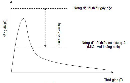 Cửa sổ điều trị