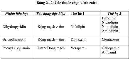 Các thuốc chẹn kênh calci