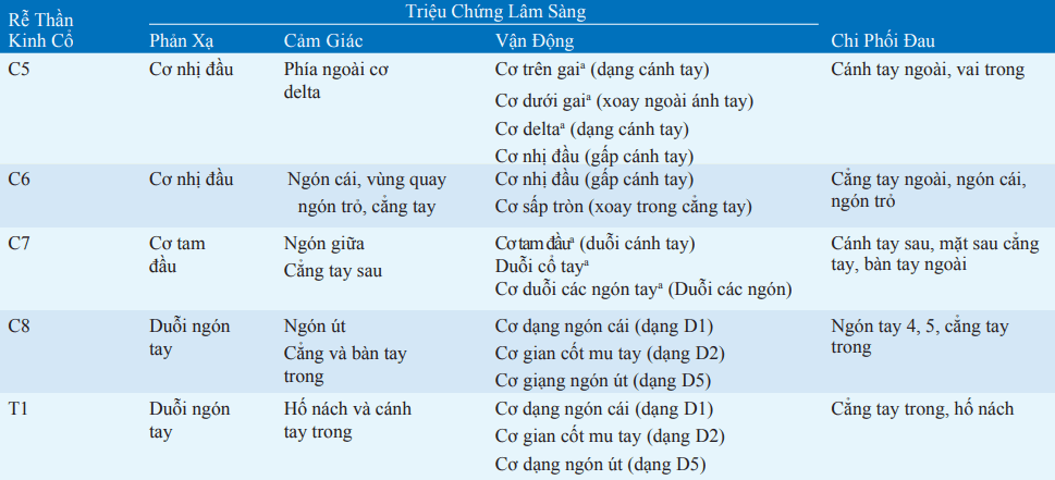 Bệnh lý rễ đốt sống cổ