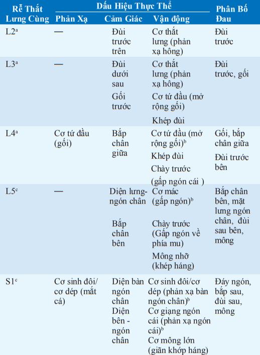 Bệnh rễ thắt lưng cùng