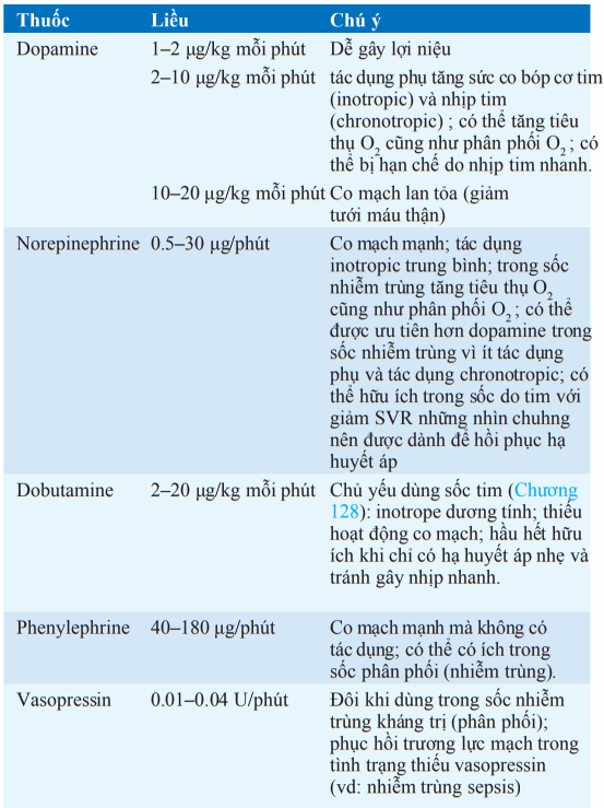 Các thuốc vận mạch sử dụng trong sốc