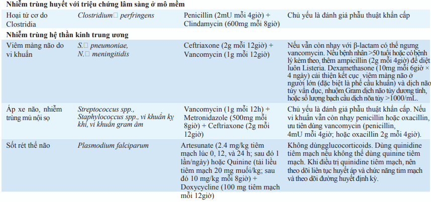 cấp cứu nhiễm trùng