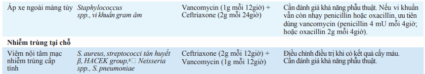 Cấp cứu nhiễm trùng