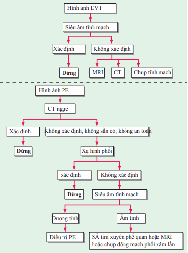 Chẩn đoán huyết khối tĩnh mạch sâu và tắc mạch phổi