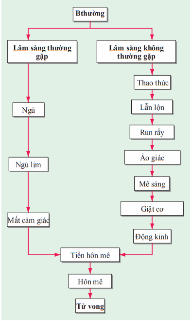 Diễn biến lâm sàng