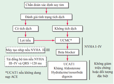 Điều trị suy tim ef giảm