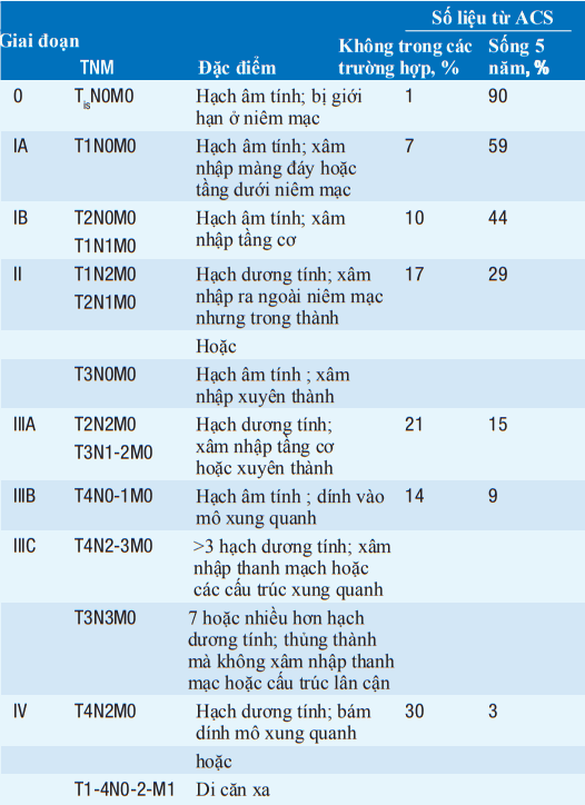 Phân loại ung thư dạ dày