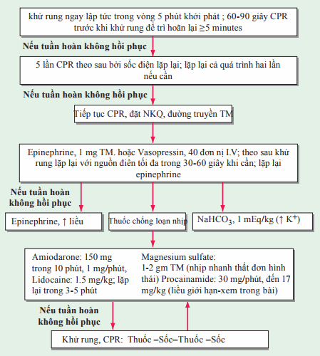 Kiểm soát ngừng tim