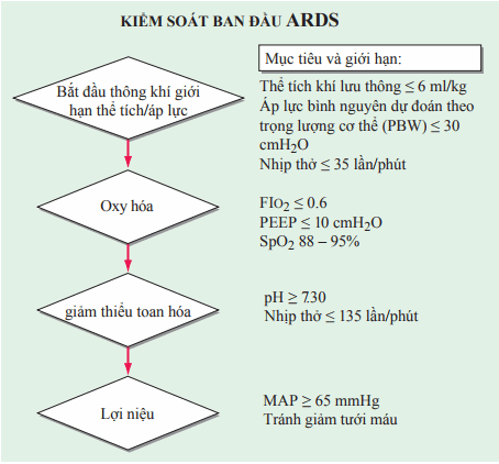 Kiểm soát ards