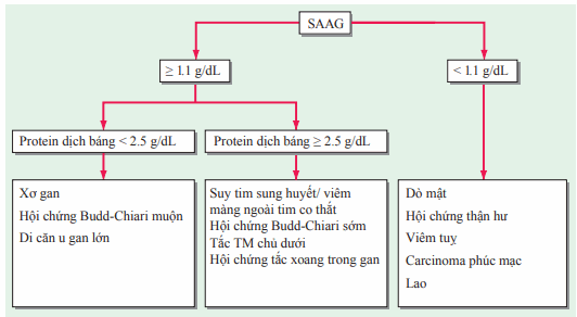 Chẩn đoán cổ trướng