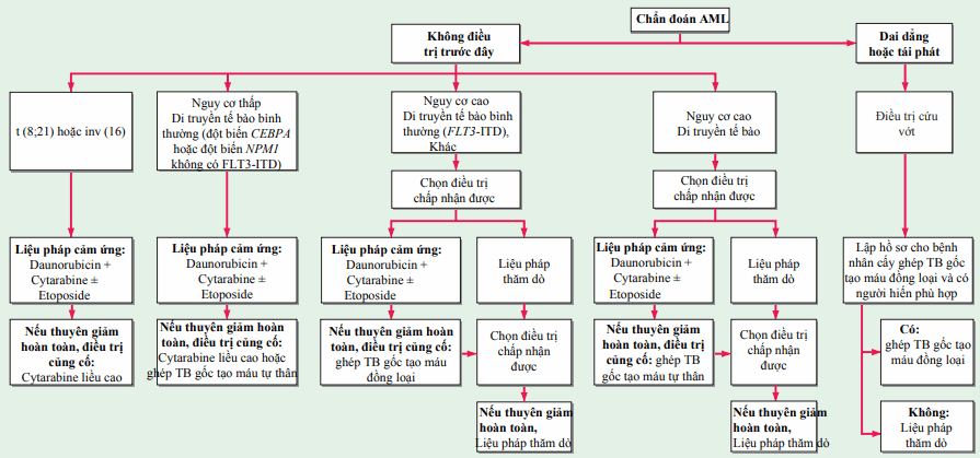 Điều trị bạch cầu cấp