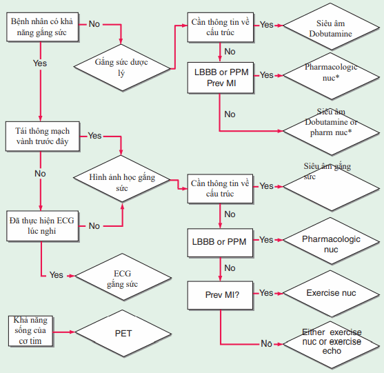 Lựa chọn test gắng sức tim