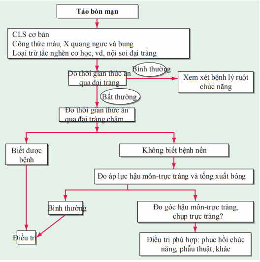 Lưu đồ xử trí táo bón mạn.