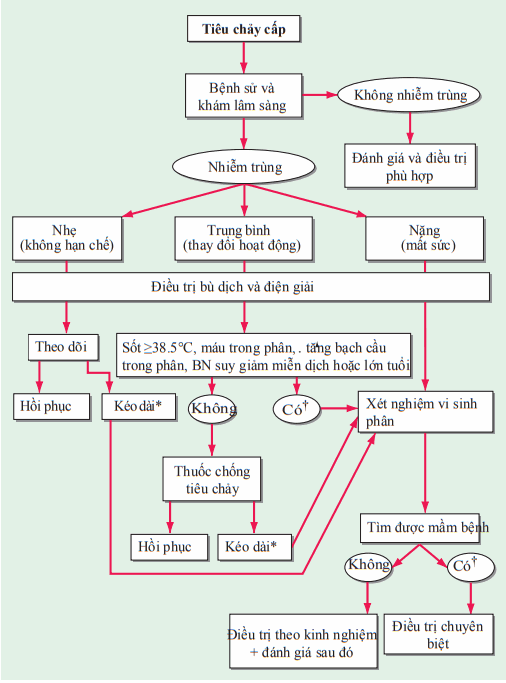 Xử trí tiêu chảy cấp