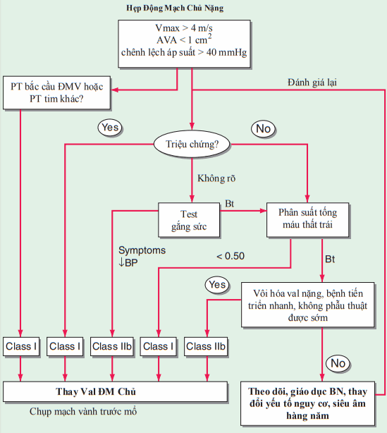 Hẹp van động mạch chủ