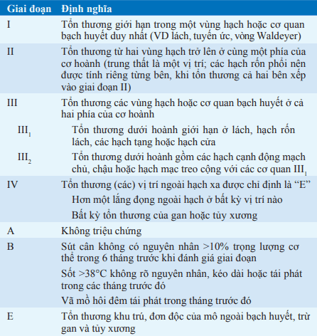 Phân chia giai đoạn