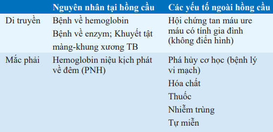 Phân loại thiếu máu