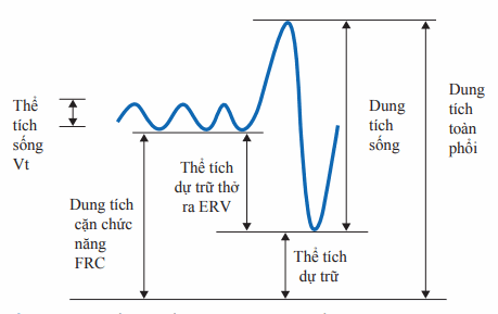 Phế dung đồ bệnh lý hô hấp