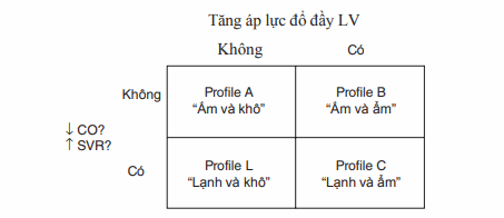 Huyết động bệnh nhân suy tim