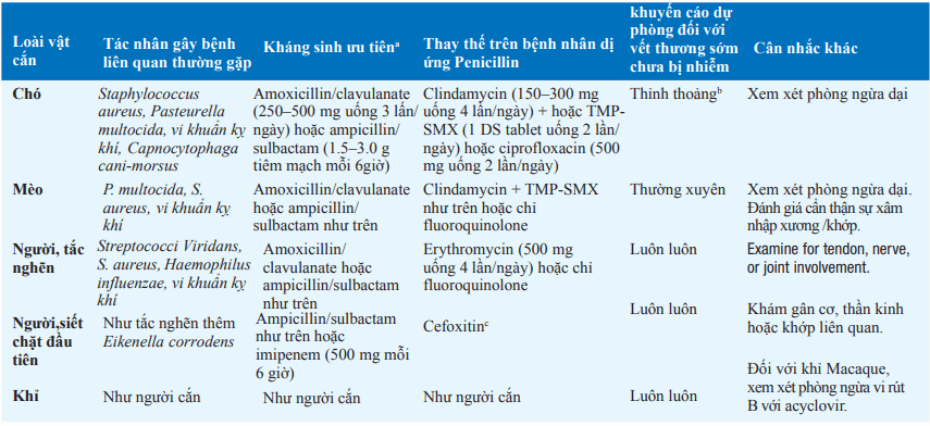 Quản lý vết thương