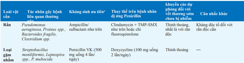 Quản lý vết thương