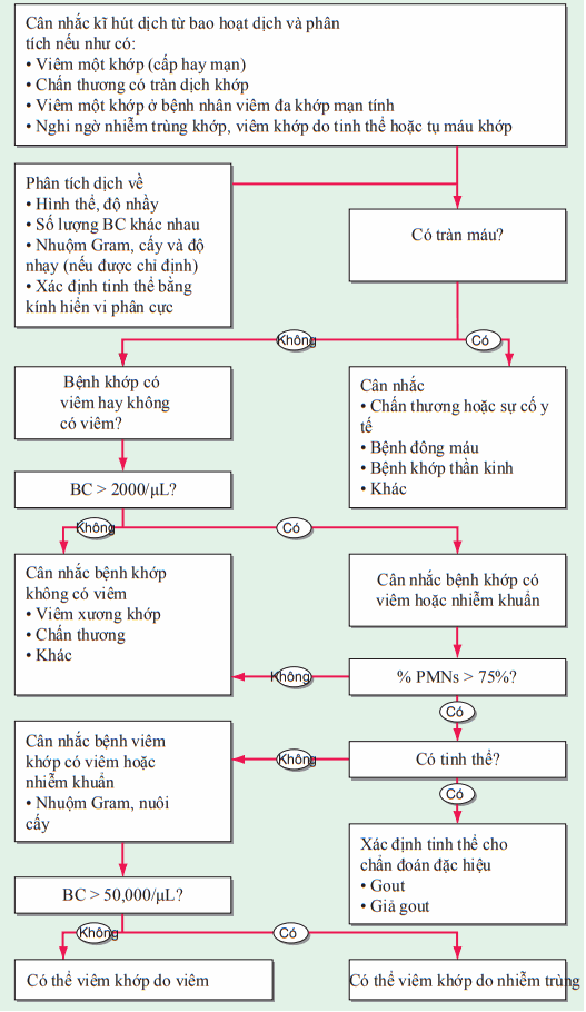 Phân tích dịch khớp