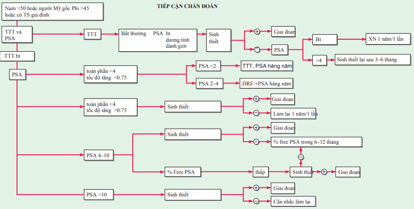 Thăm trực tràng