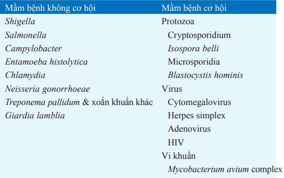 Tác nhân gây tiêu chảy